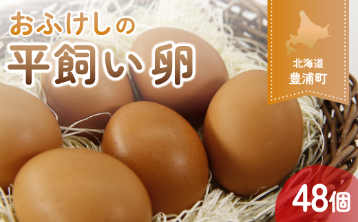 北海道 豊浦 おふけしの平飼い卵 48個 TYUZ003