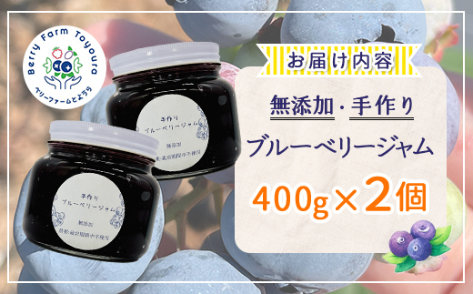 北海道 豊浦町産 無添加手作り ブルーベリージャム400g×2個 TYUS018