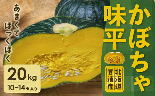 北海道 豊浦産 かぼちゃ 味平 20kg 10〜14玉入り TYUH005