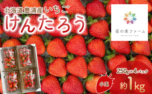 【2025.5月以降順次出荷】北海道 豊浦 いちご 小玉 けんたろう 250g×4パック1箱 約1kg TYUW001