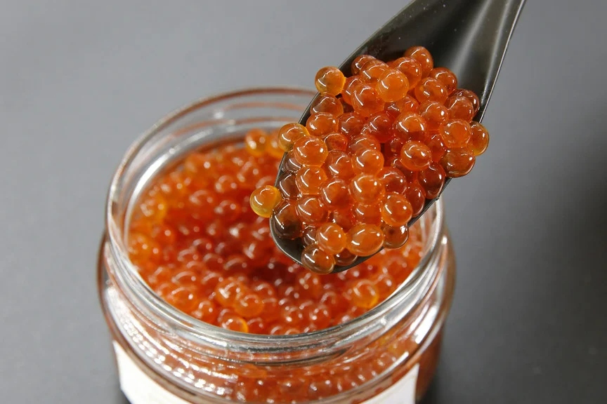 縲仙ョ壽悄萓ソ5蝗槭第オキ魄ョ蝨ー蜈貍∝クォ蜴ウ驕ク 蝎エ轣ォ貉セ逕」 豬キ縺ョ蟷ク 繧ケ繝壹す繝」繝ォ 蛹玲オキ驕 雎頑オヲ 縺縺ォ 縺縺上i 繝帙ち繝 魄ュ 蛻コ霄ォ 豈帙ぎ繝 TYUR028