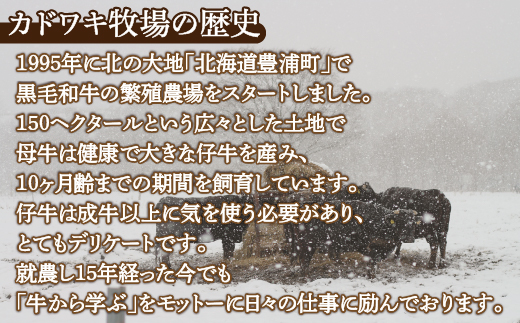 黒毛和牛 カドワキ牛 切り落とし 350〜400g 牛肉 しゃぶしゃぶ すき焼き 冷凍 TYUAE001