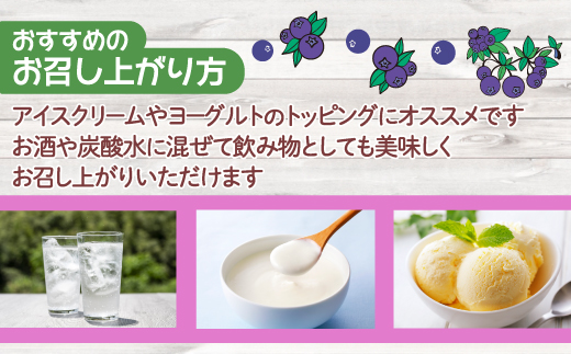 北海道 豊浦町 ブルーベリーシャーベット 20本 【 ふるさと納税 人気 おすすめ ランキング 果物 メロン めろん 果物 ブルーベリー 国産ブルーベリー ブルーベリーシャーベット 大容量 おいしい 美味しい 甘い 北海道 豊浦町 送料無料 】TYUN012