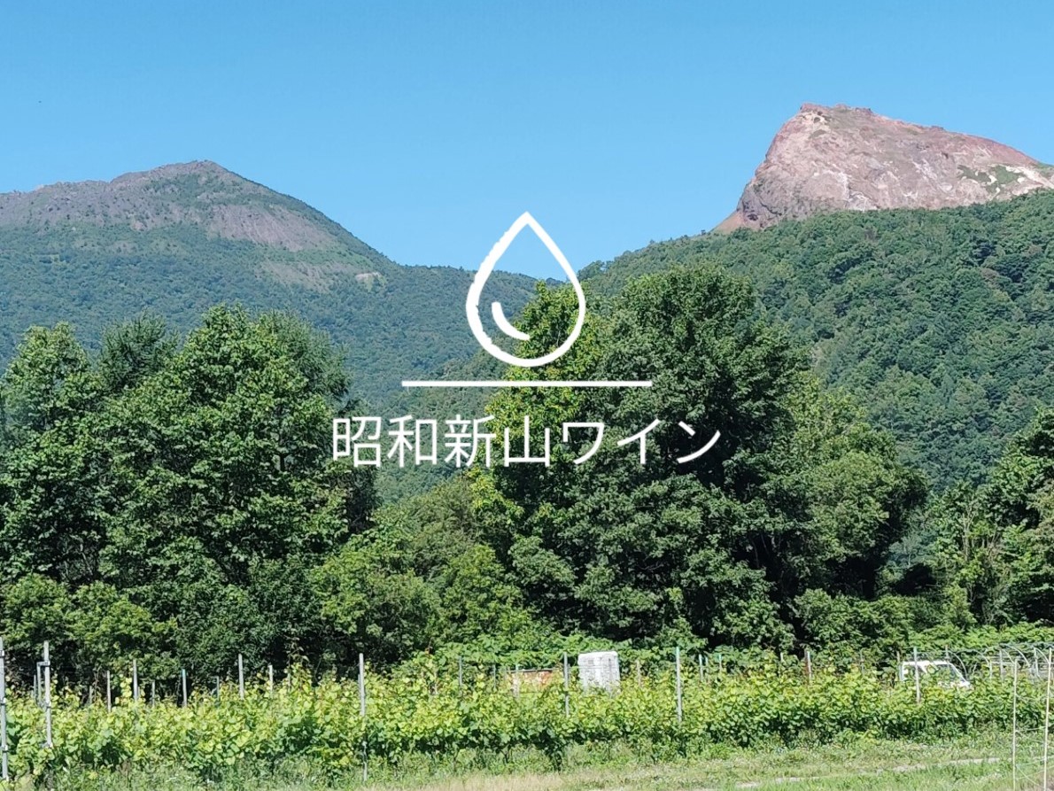 昭和新山ワイン　Montagne 2024 無濾過(モンターニュ） 白ワイン 辛口 壮瞥町産ぶどう100%   SBTQ013
