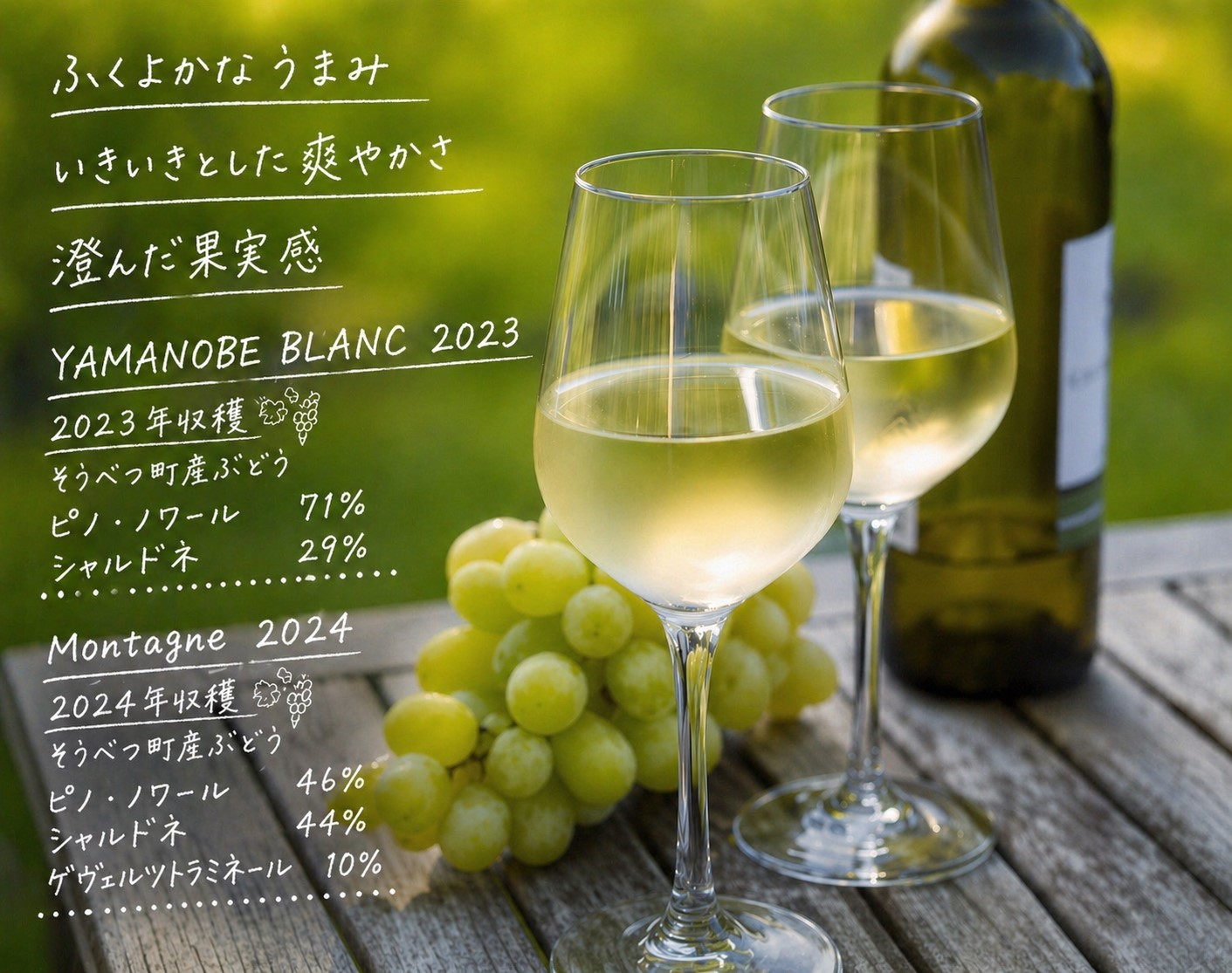 昭和新山ワイン　YAMANOBE BLANC 2023(ヤマノベブラン）とMontagne 2024 無濾過(モンターニュ） の各２本セット 白ワイン 辛口 壮瞥町産ぶどう100%    SBTQ015