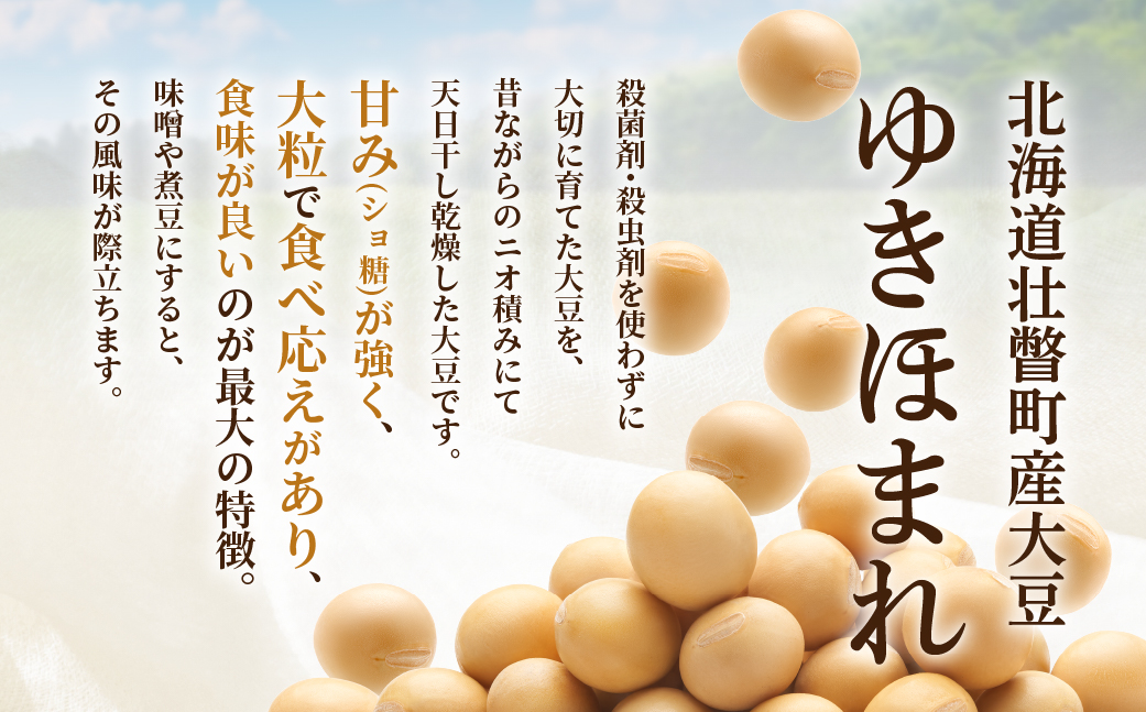 北海道壮瞥町産大豆 ゆきほまれ 約5kg SBTQ010