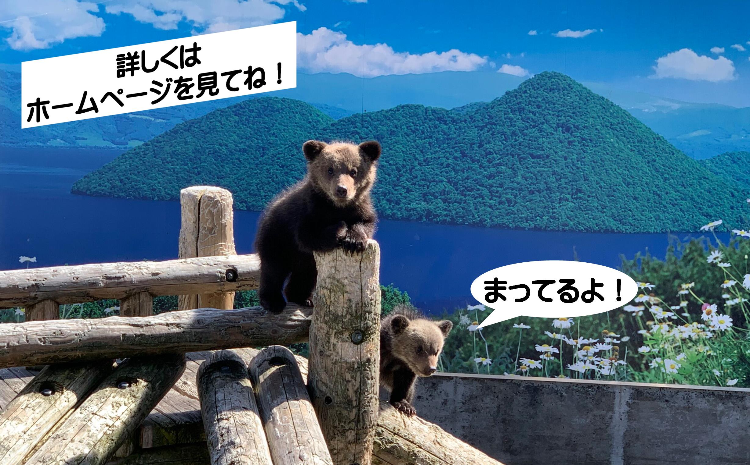 昭和新山熊牧場入場券4枚 SBTZ001