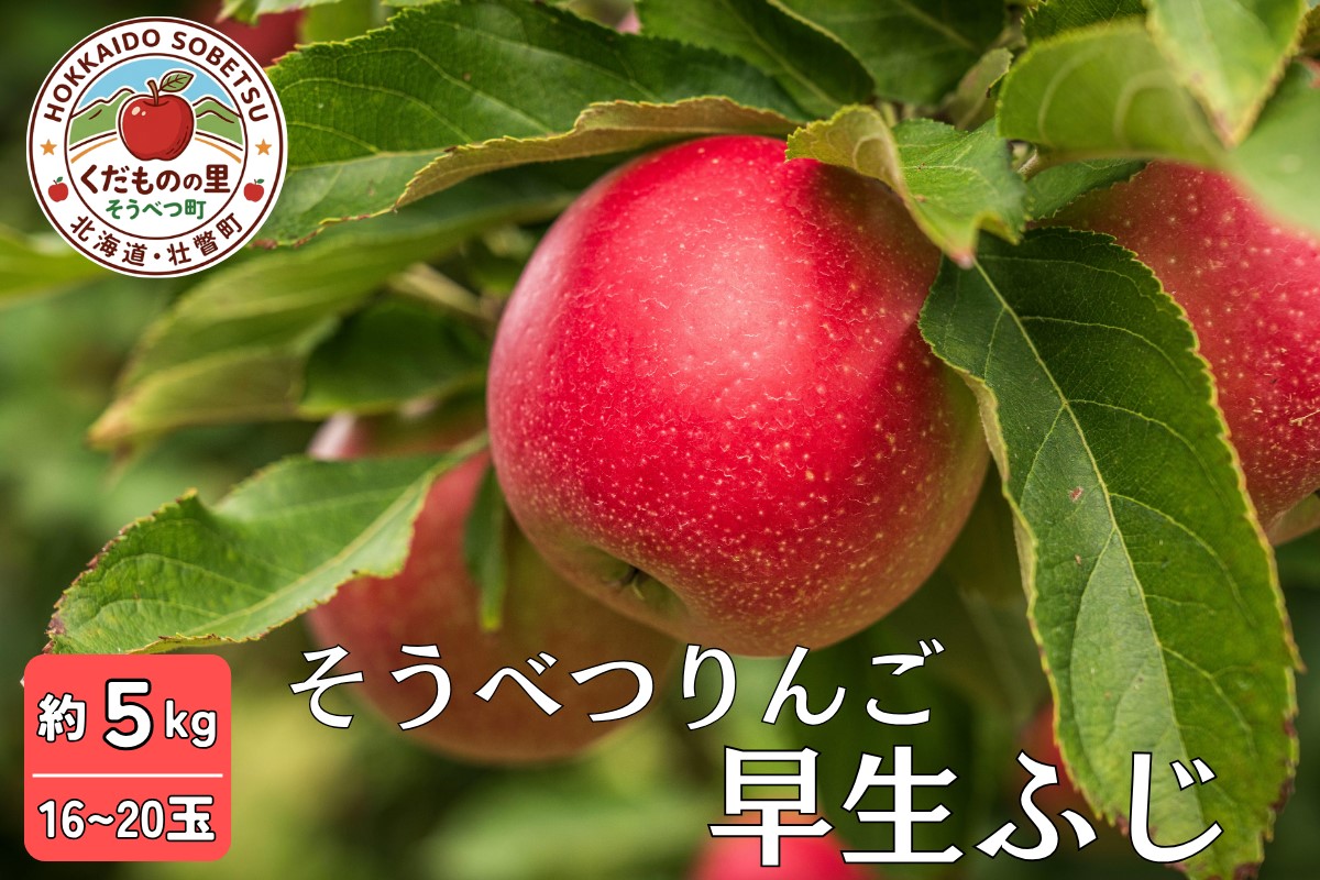 【先行予約】 早生ふじ 約5kg <2026年10月中旬頃～発送予定> SBTB012