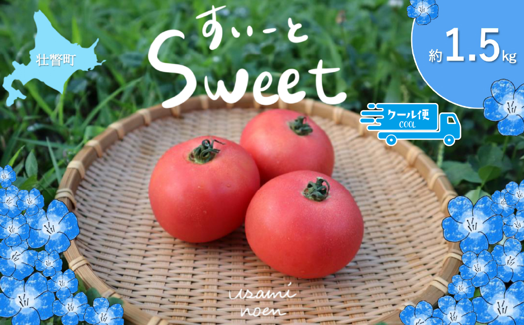 【2026年予約】極旨トマトクール便 北海道壮瞥町産 スイート1.5kg 中玉トマト SBTAJ017