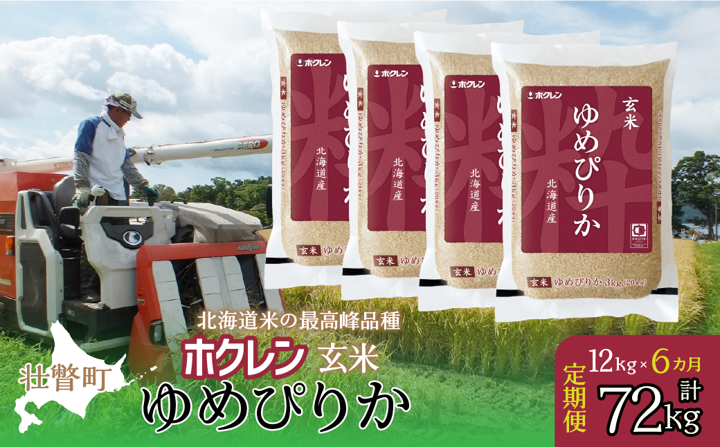 【令和7年産米】【6ヶ月定期配送】（玄米12kg）ホクレンゆめぴりか（3kg×4袋） SBTD178