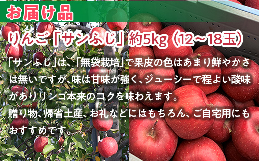 ＜2025年12月上旬よりお届け＞北海道壮瞥町　りんご　品種名「サンふじ」12〜18玉約5kg SBTF007