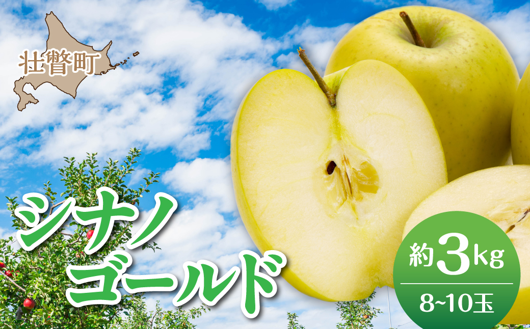 【先行予約】＜2026年11月上旬よりお届け＞北海道壮瞥町　りんご　品種名「シナノゴールド」8～10玉約3kg SBTF020