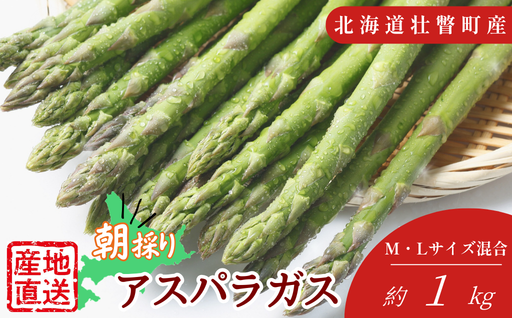 【先行予約】朝採れ直送　グリーンアスパラ約1kg（Ｍ・L混合）北海道壮瞥町産 SBTM001