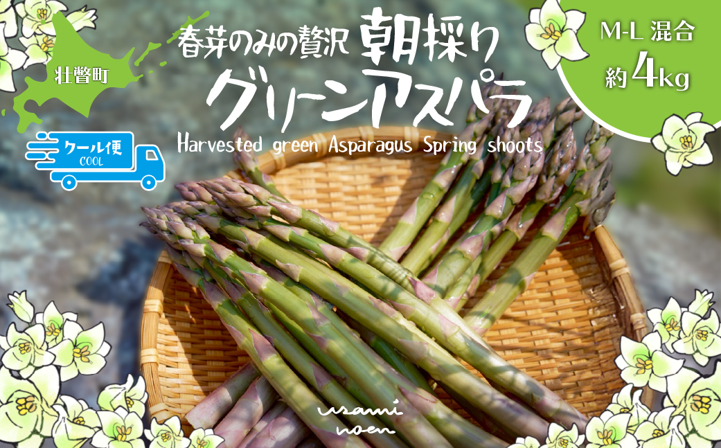 【2026年予約】朝採りグリーンアスパラ（春芽）M-L混合 約4kg 北海道壮瞥町産 SBTAJ036