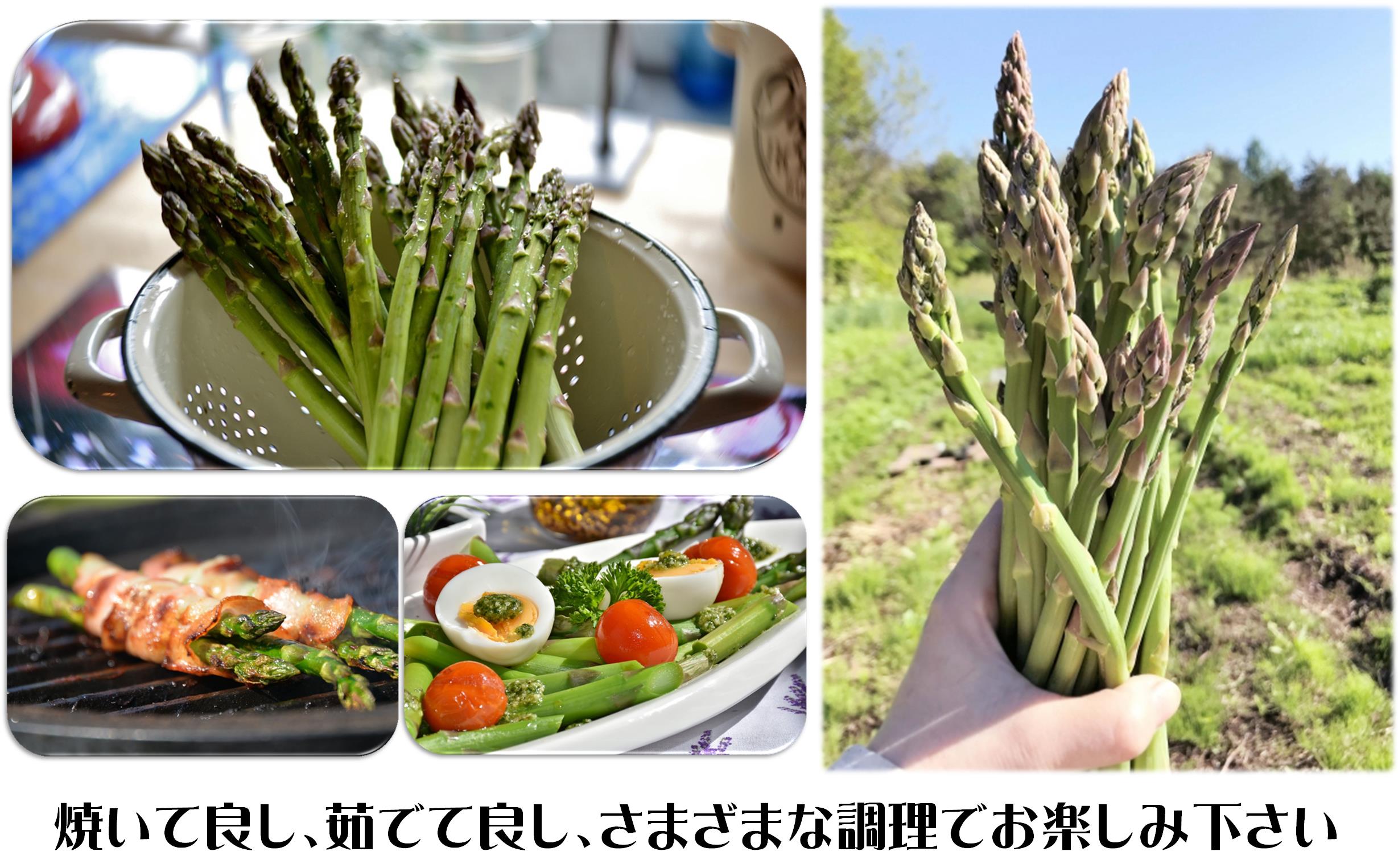 【先行予約】朝採り直送　グリーンアスパラ約1kg（L・2L混合）北海道壮瞥町 SBTM008