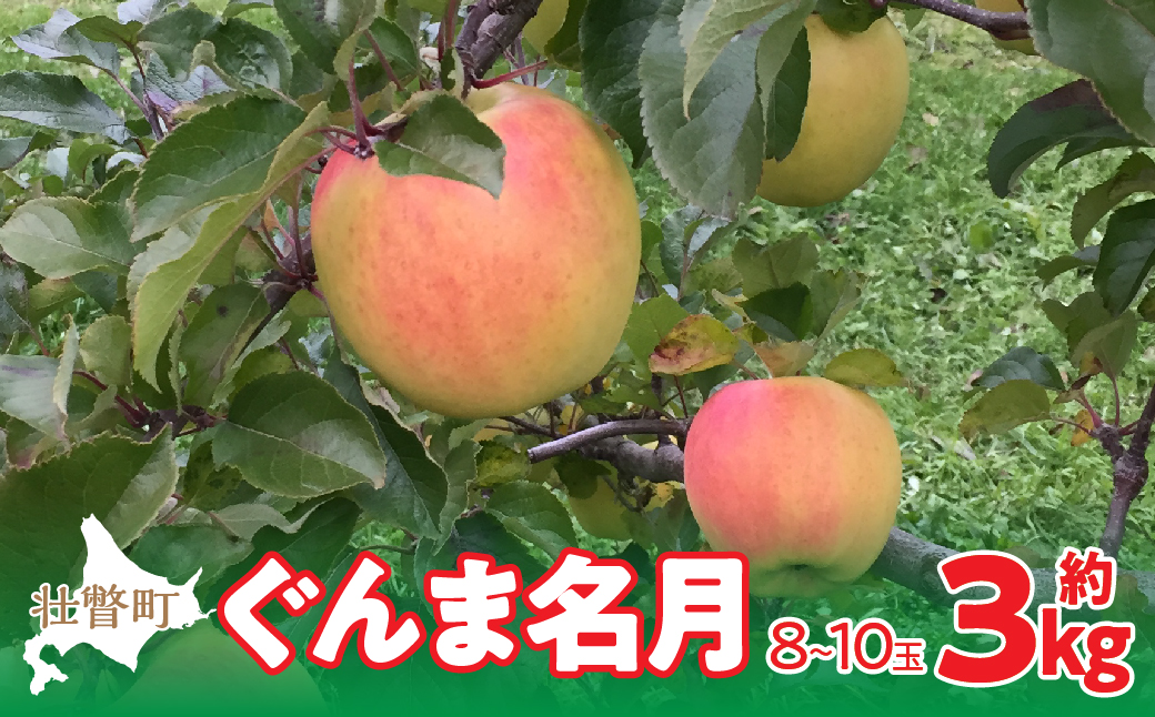 【先行予約】北海道壮瞥町産りんご「ぐんま名月」約3kg(8〜10玉)<2026年11月中旬よりお届け> SBTF004