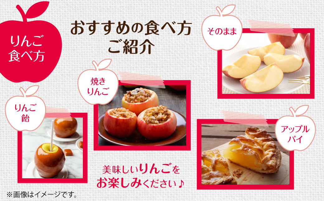 【先行予約】北海道壮瞥町産りんご「サンつがる」約3kg(8～11玉)<2026年9月下旬よりお届け> SBTF001