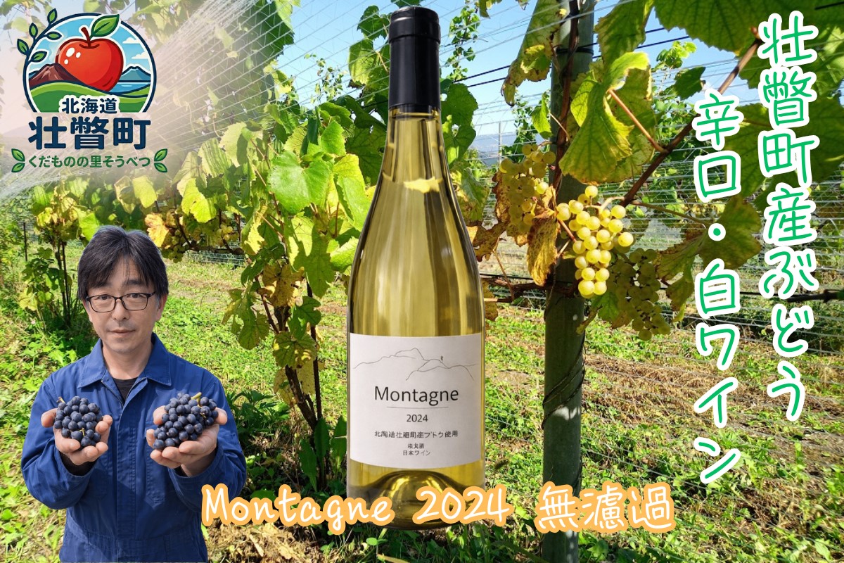 昭和新山ワイン　Montagne 2024 無濾過(モンターニュ） 白ワイン 辛口 壮瞥町産ぶどう100%   SBTQ013