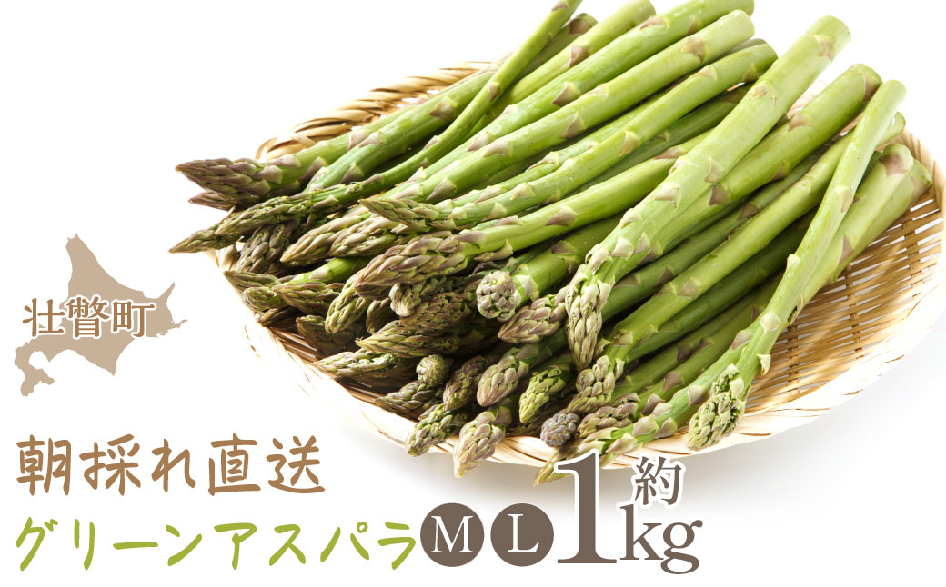 ＜2026年5月中・下旬よりお届け＞北海道壮瞥産「ファーム横山」朝採れ直送　グリーンアスパラ約1kg（Ｍ・L混合） SBTM001