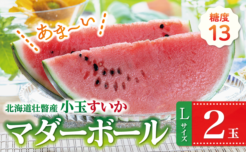 ＜2026年8月上旬よりお届け＞北海道壮瞥産　新山すいか 小玉すいか（マダーボール）Lサイズ2玉 スイカ SBTN002