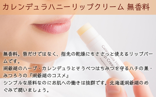 ã«ã¬ã³ãã¥ã©ããŒã 1åïŒMINTïŒãšãªããã¯ãªãŒã 1æ¬ïŒç¡éŠæïŒã®ã»ãã SBTX009-1