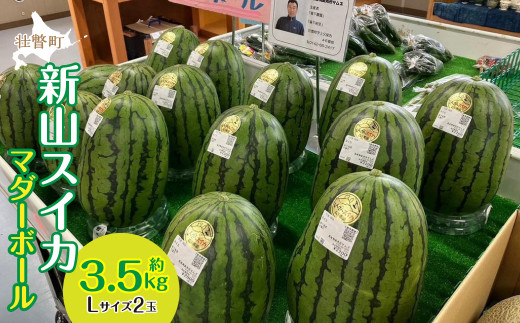 ＜2026年8月上旬よりお届け＞北海道壮瞥産　新山すいか 小玉すいか（マダーボール）Lサイズ2玉 スイカ SBTN002