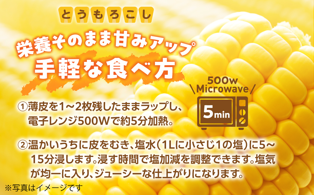 ＜2026年8月お届け＞赤肉メロン2玉ととうもろこし（恵味）11〜13本のセット  SBTP015