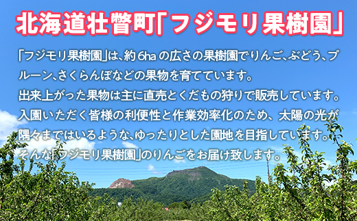 ＜2025年12月上旬よりお届け＞北海道壮瞥町　りんご　品種名「サンふじ」12〜18玉約5kg SBTF007
