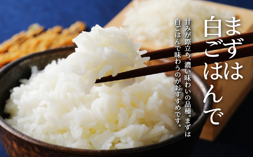 【令和7年産】（無洗米5kg）ホクレンゆめぴりか SBTD058