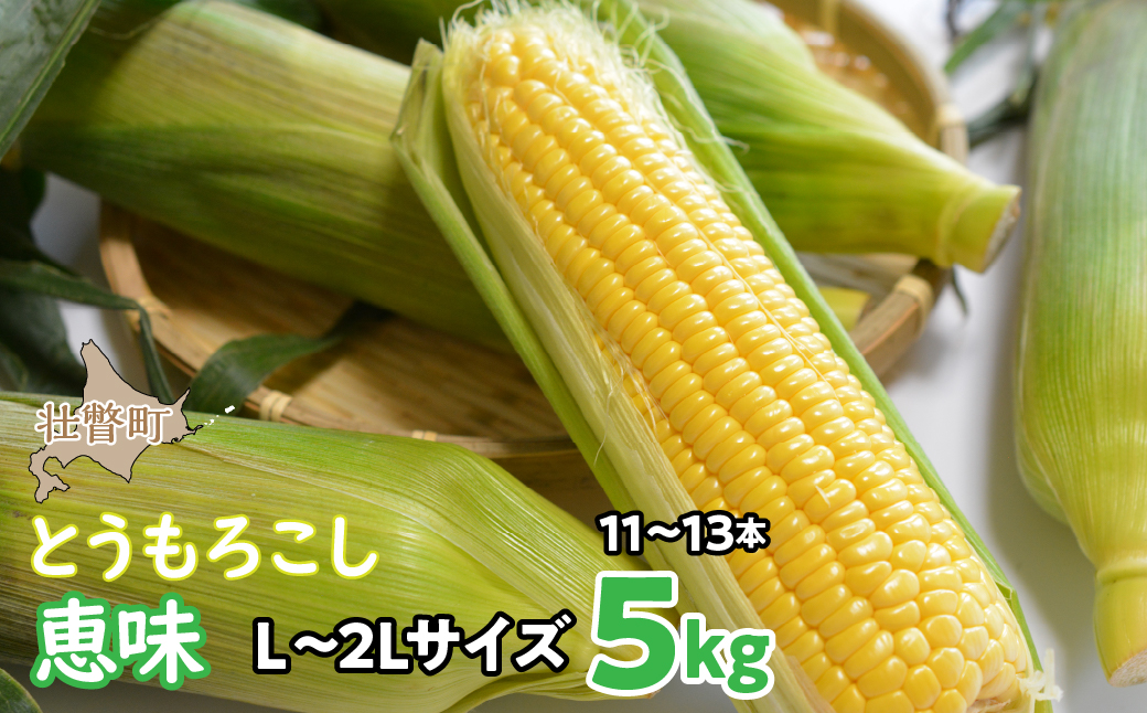 ＜2026年8月初旬よりお届け＞約5kg！北海道壮瞥産とうもろこし（恵味）【Ｌ〜2Lサイズ 11〜13本】 SBTP002