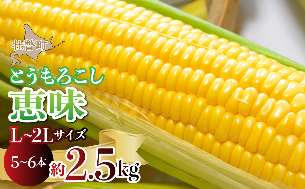 ＜2026年8月初旬よりお届け＞約2.5kg！北海道壮瞥産とうもろこし（恵味）【L～2Lサイズ 5～6本】 SBTP014