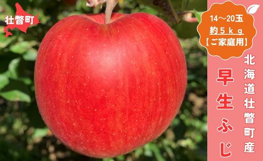 ＜10月中旬頃よりお届け＞北海道壮瞥産りんご 早生ふじ 約5kg(14〜20玉)【ご家庭用】 SBTK013