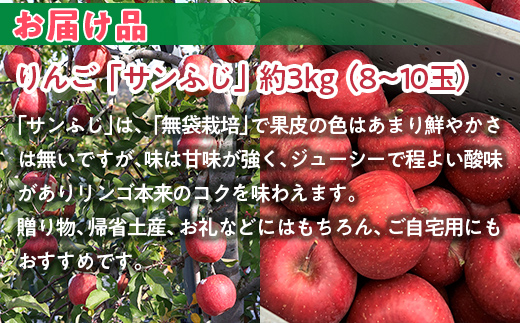 ＜2025年12月上旬よりお届け＞北海道壮瞥町　りんご　品種名「サンふじ」8〜10玉約3kg SBTF006