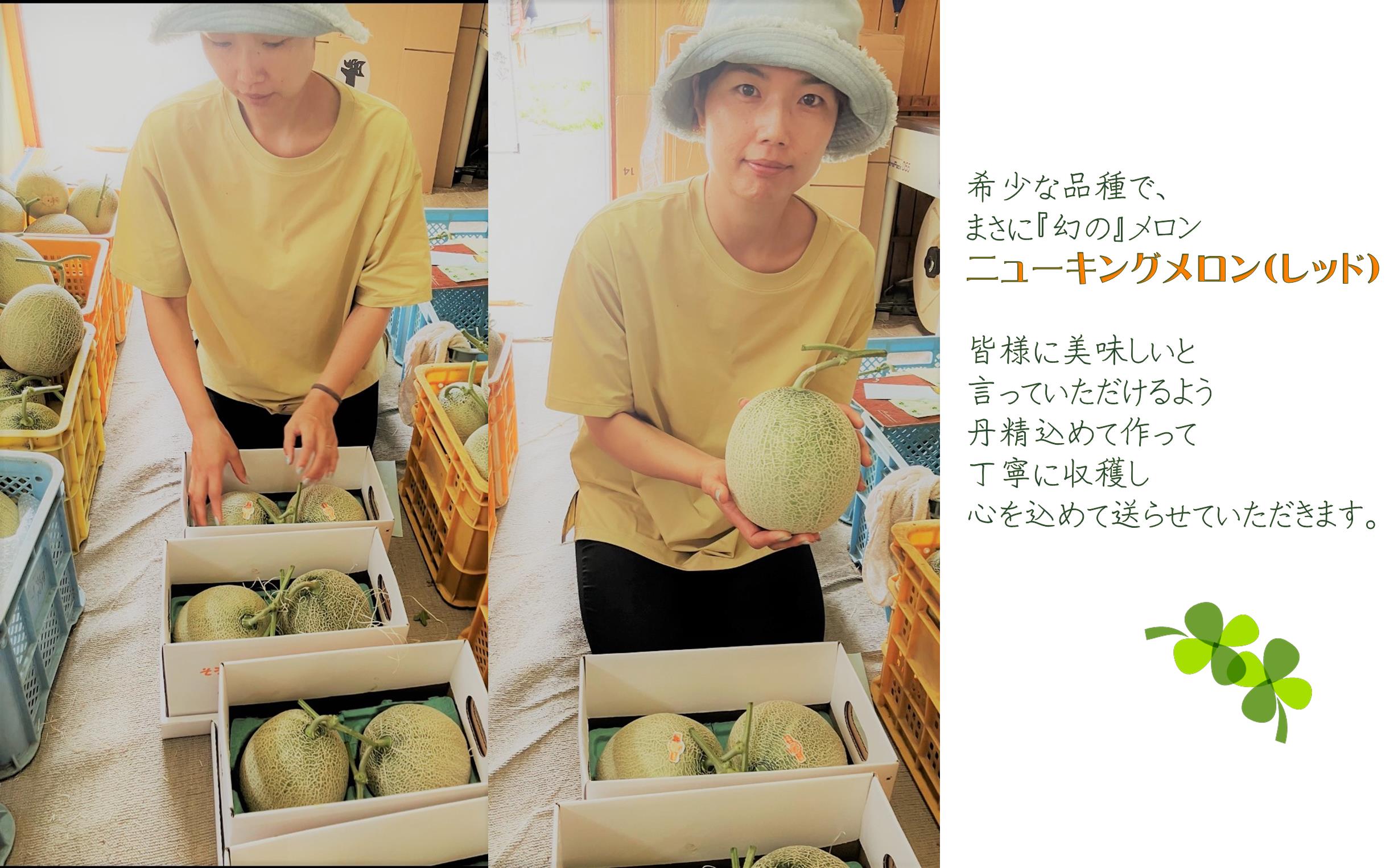 ＜2026年7月下旬よりお届け＞北海道壮瞥産 赤肉メロン（ニューキングメロン）2玉 約3kg SBTN003