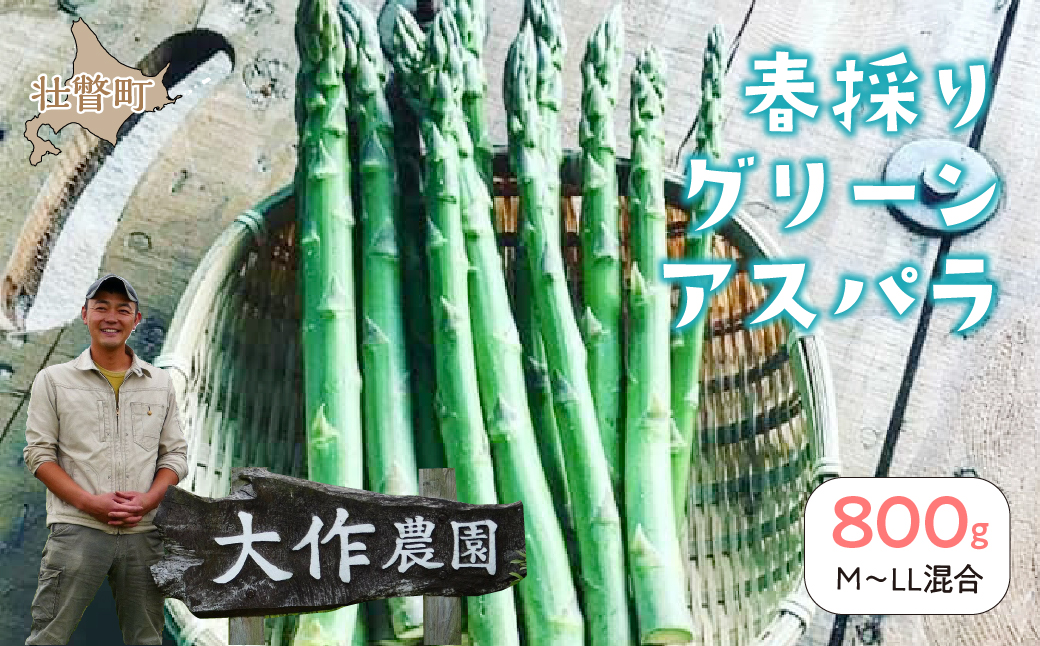 ＜2026年4月上旬よりお届け＞【朝採り】北海道壮瞥町産　春採りグリーンアスパラM〜LL混合　約800g SBTR005