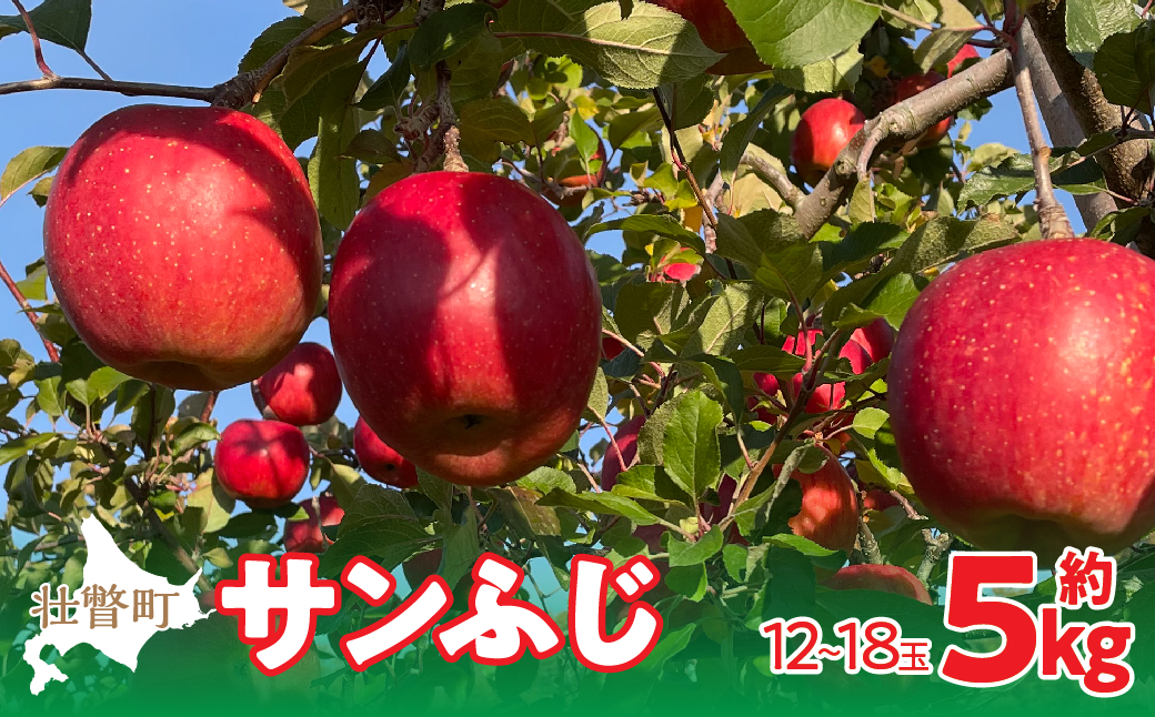 【先行予約】北海道壮瞥町産りんご「サンふじ」約5kg(12〜18玉)<2026年12月上旬にお届け> SBTF007
