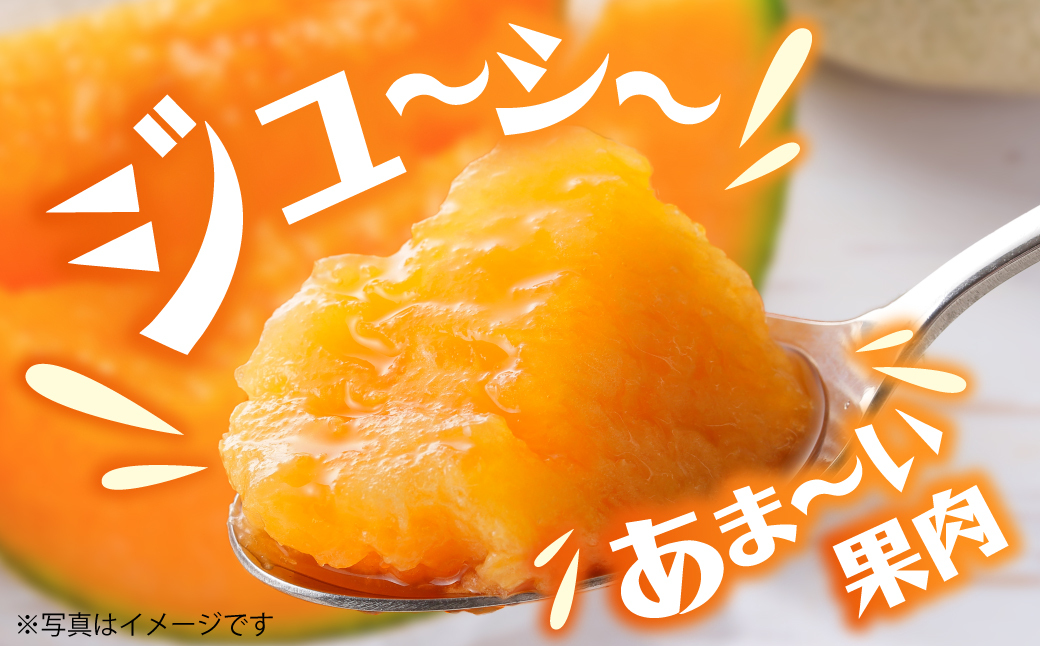 ＜2026年8月お届け＞赤肉メロン2玉ととうもろこし（恵味）11〜13本のセット  SBTP015