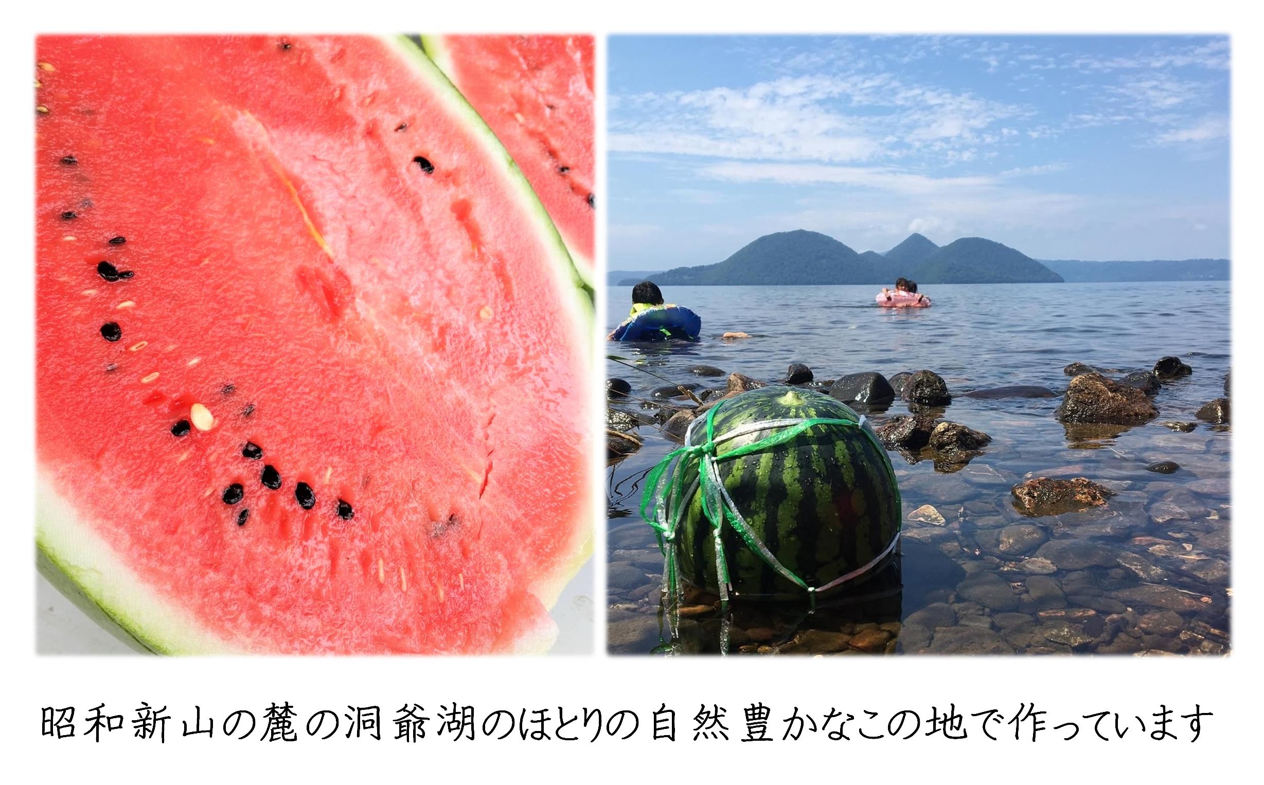 ＜2026年8月上旬よりお届け＞北海道壮瞥産　新山すいか 小玉すいか（マダーボール）Lサイズ2玉 スイカ SBTN002