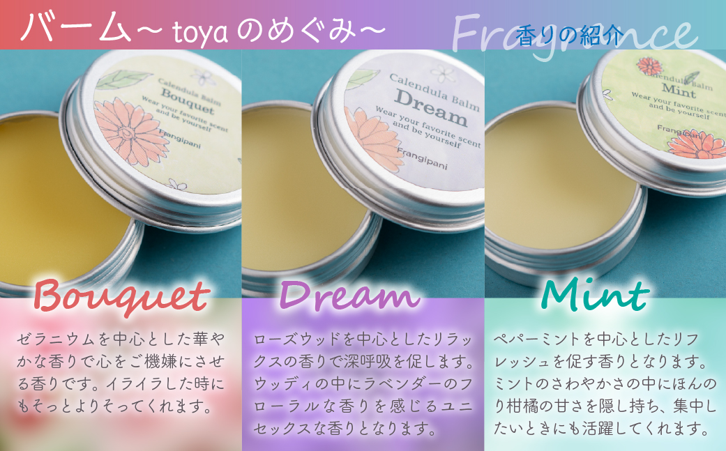 ã«ã¬ã³ãã¥ã©ã»ãã(ããŒã«ãªã³ã¢ãã2çš®ãšããŒã 3çš®) SBTX017