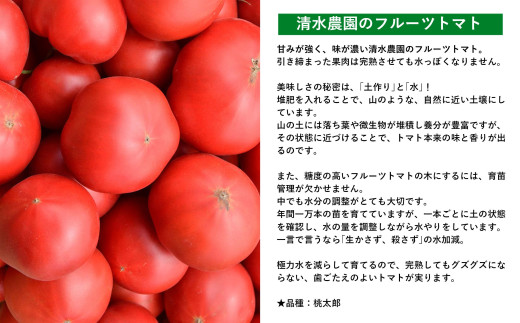 ＜2026年6月下旬よりお届け＞【農園直送】北海道壮瞥産 こだわりフルーツトマト　20玉以上 SBTO003