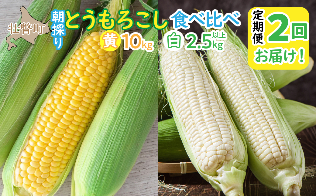北海道壮瞥町 2回 定期便 8月上旬・8月下旬朝採り！産地直送 北海道壮瞥町産 とうもろこし黄・白 食べ比べ SBTP011
