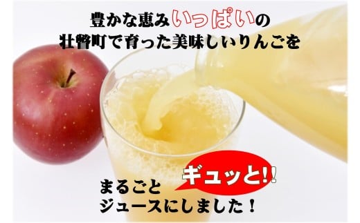 〈2026年1月下旬よりお届け〉りんごジュース「北国の雫」(壮瞥町産りんご100%) 300ml×20本 SBTA083