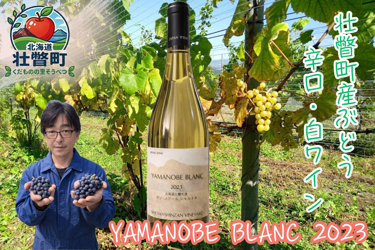 昭和新山ワイン　YAMANOBE BLANC 2023(ヤマノベブラン）白ワイン 辛口 壮瞥町産ぶどう100%  SBTQ012