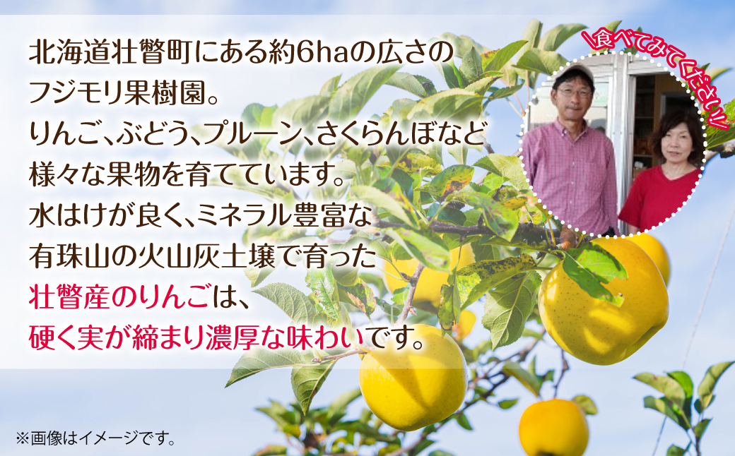 3ã»4æçºéïŒåæµ·é壮ç¥çºãããã(ã¹ããŒããã¬ãã·ã¥)ãåçš®åãã·ãããŽãŒã«ãã12ïœ18ççŽ5kgãSBTF029