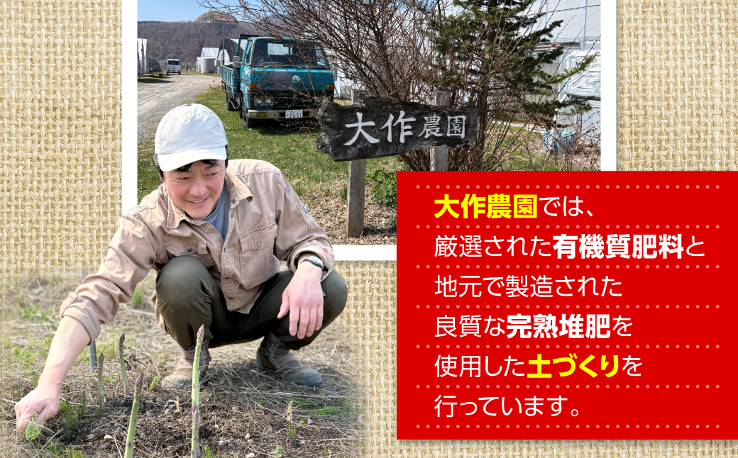 ＜2026年7月上旬よりお届け＞北海道壮瞥産 大作農園のカラフルミニトマト約1.5kg(5種以上) SBTR002