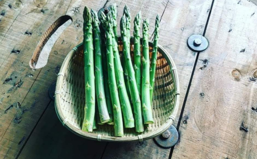 ＜2026年7月上旬よりお届け＞北海道壮瞥町産　大作農園「夏アスパラとカラフルミニトマト」のセット約1kg 先行予約 SBTR004