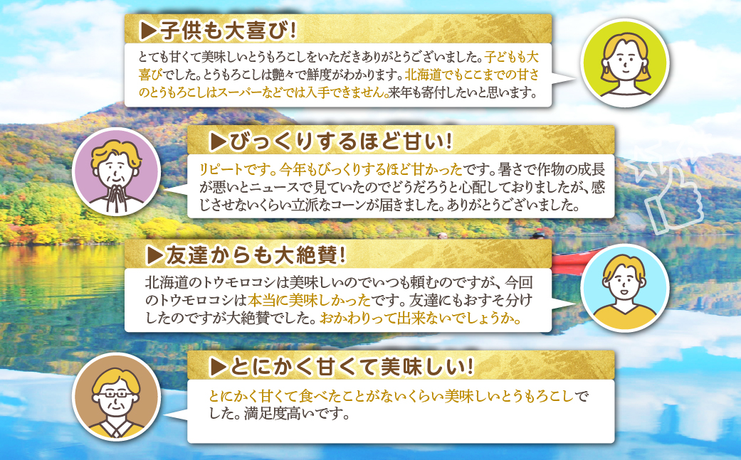＜2026年8月中旬よりお届け＞【朝採り】北海道壮瞥町産　ホワイトコーン「ピュアホワイト」Lサイズ以上6本（約2.5kg） SBTQ004