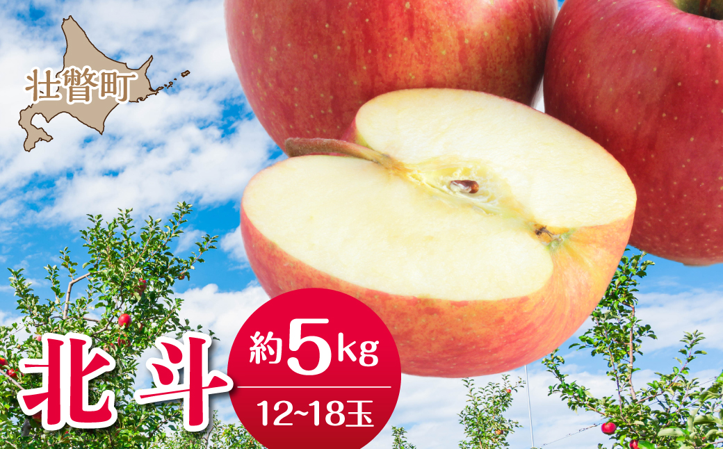 【先行予約】＜2026年11月中旬よりお届け＞北海道壮瞥町　りんご　品種名「北斗」12～18玉約5kg SBTF023