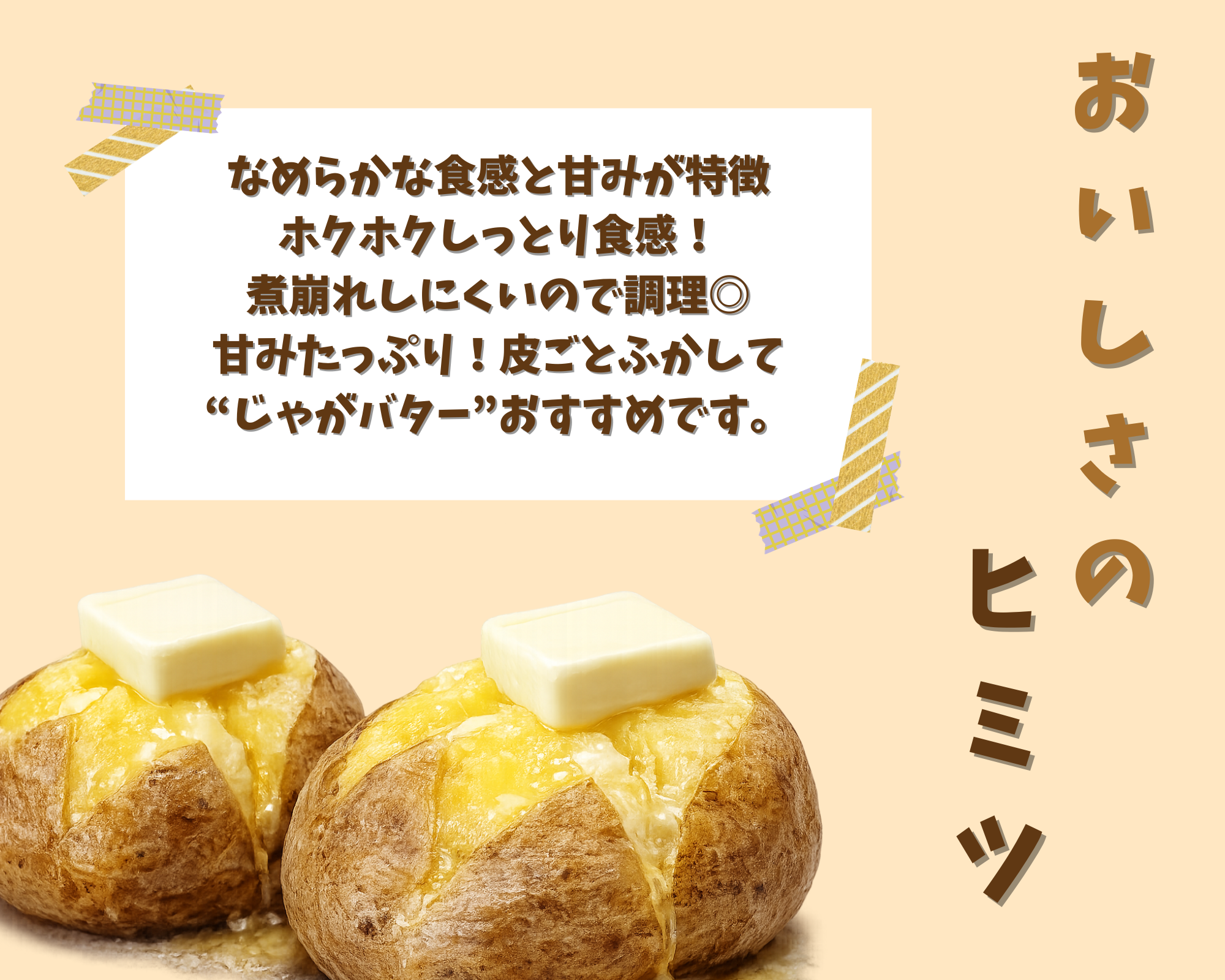 【先行予約】【3回定期便】赤肉メロン2玉＋スイートコーン約5kg(13本)＋じゃがいも(とうや)約10kg 旬のフルーツ・野菜定期便＜7月下旬・8月上旬・9月下旬お届け＞ SBTN014