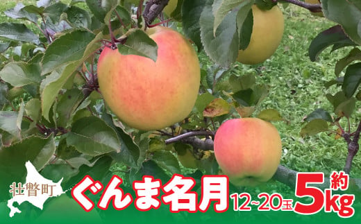 【先行予約】北海道壮瞥町産りんご「ぐんま名月」約5kg(12〜20玉)<2026年11月中旬よりお届け> SBTF013